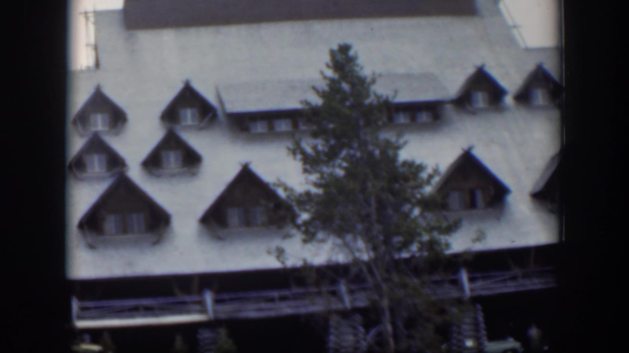 Log lodge roof with dormer windows and an evergreen tree in front.