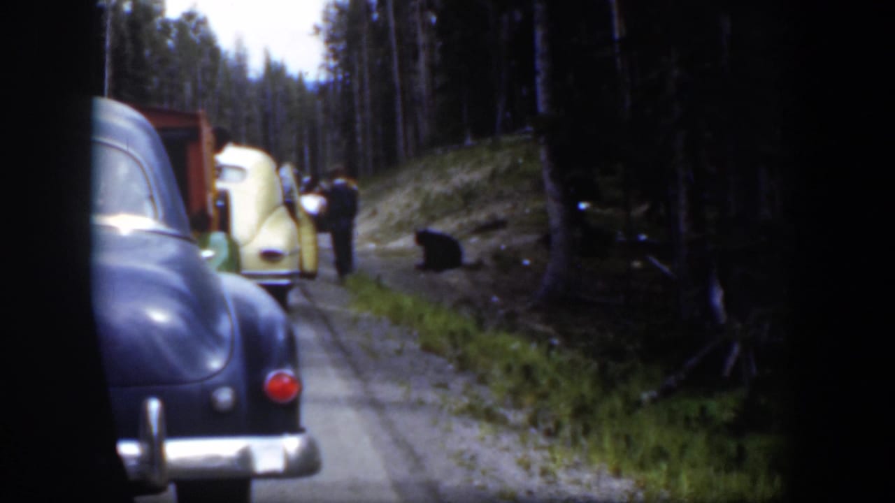 Wyoming 1951 8mm frame with a dark sedan in the foreground, a yellow car ahead, people near the road, and a bear along the grassy shoulder.