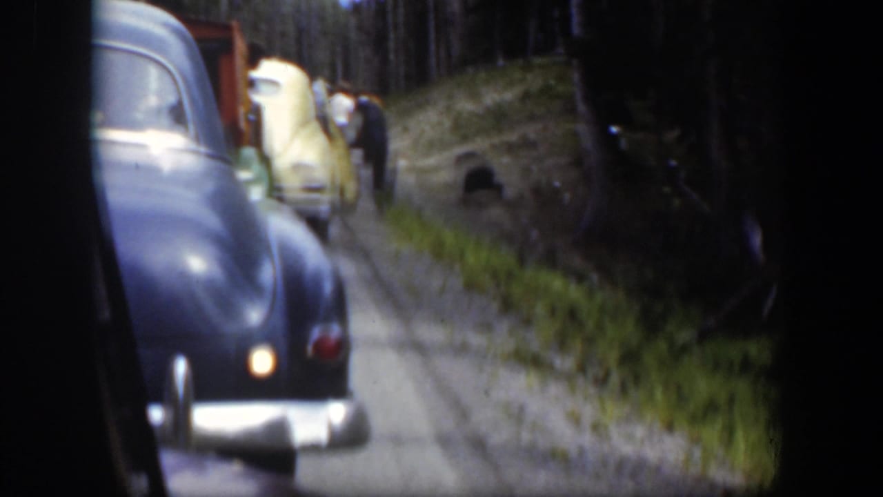 Soft 8mm frame from 1951 Wyoming showing a dark car in the foreground, a yellow car ahead, standing people, and a dark bear near the road edge.