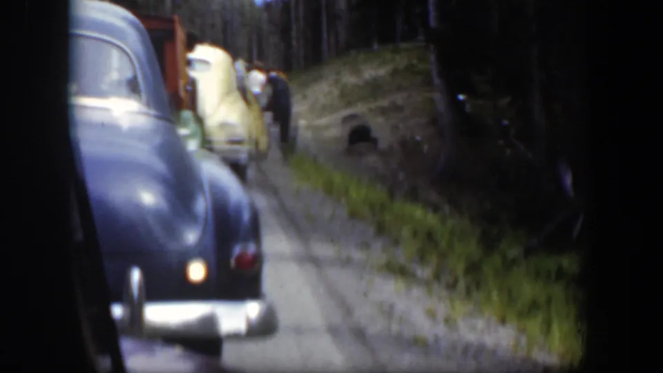Soft 8mm frame from 1951 Wyoming showing a dark car in the foreground, a yellow car ahead, standing people, and a dark bear near the road edge.