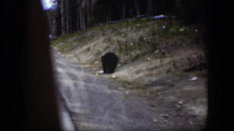 Black bear near a dirt roadside bank in Wyoming, filmed from a handheld 8mm home-movie viewpoint.