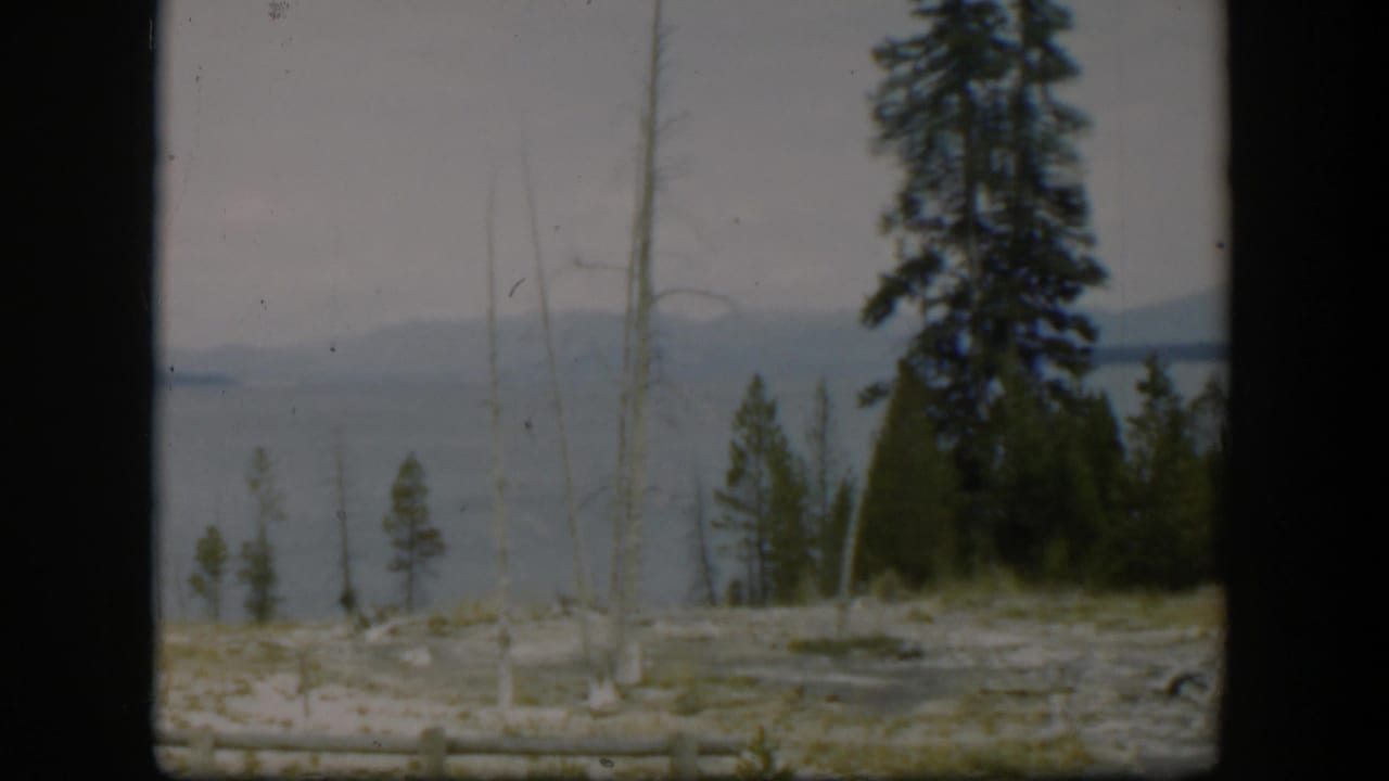 1951 Wyoming 8mm frame showing a lake, distant mountains, evergreen pines, bare trees, and pale ground viewed through a dark foreground frame.