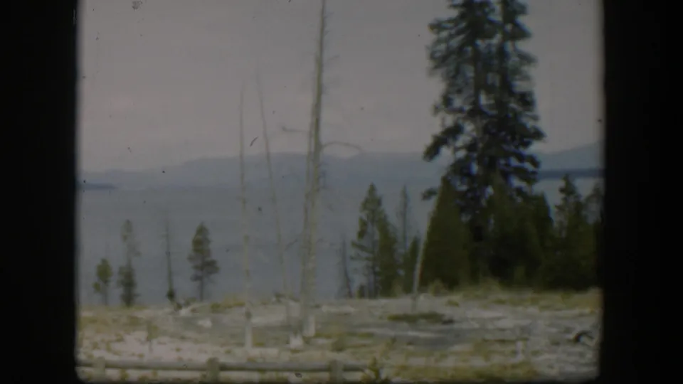 1951 Wyoming 8mm frame showing a lake, distant mountains, evergreen pines, bare trees, and pale ground viewed through a dark foreground frame.