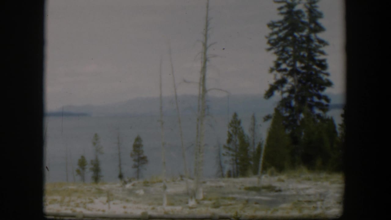 1951 Wyoming landscape on 8mm film with still lake water, a hazy mountain ridge, evergreen trees, skeletal trunks, and dark frame edges.