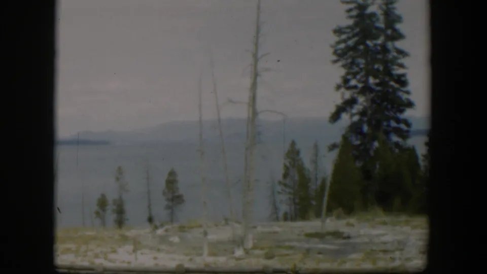 1951 Wyoming landscape on 8mm film with still lake water, a hazy mountain ridge, evergreen trees, skeletal trunks, and dark frame edges.