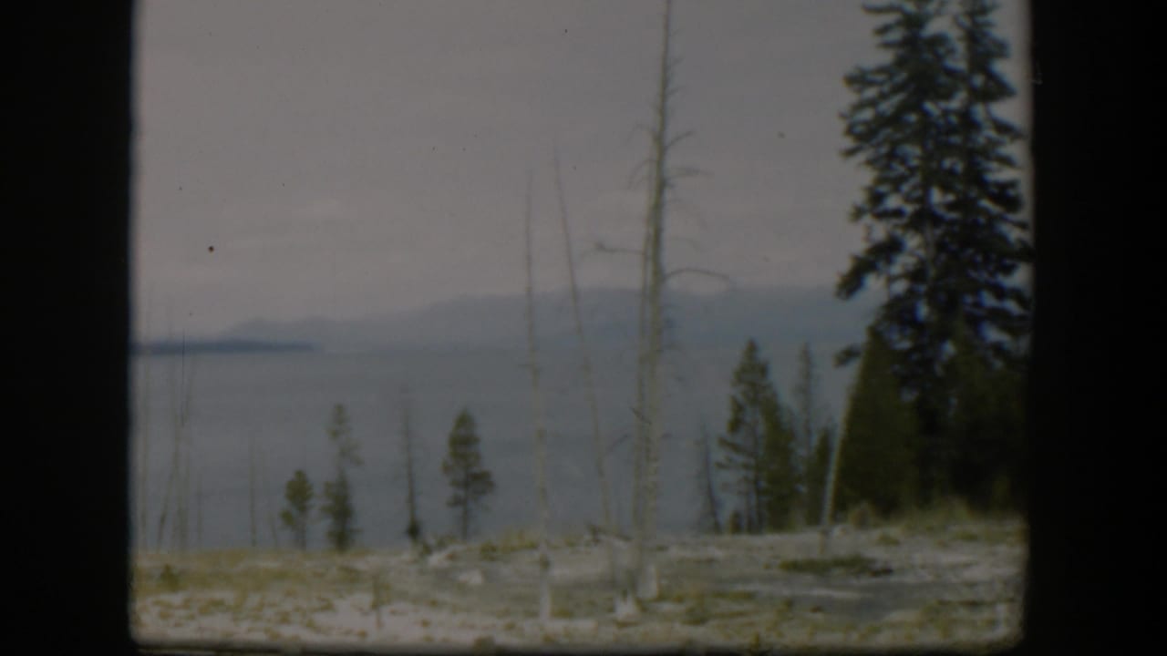 A Wyoming lakeside mountain view from 1951, with pines and bare trunks in the foreground and soft 8mm color across the distant water.