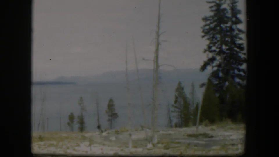 A Wyoming lakeside mountain view from 1951, with pines and bare trunks in the foreground and soft 8mm color across the distant water.