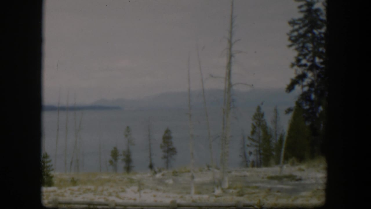 Final 1951 Wyoming frame with evergreen pines, skeletal trunks, calm lake water, and hazy mountains under muted 8mm color.