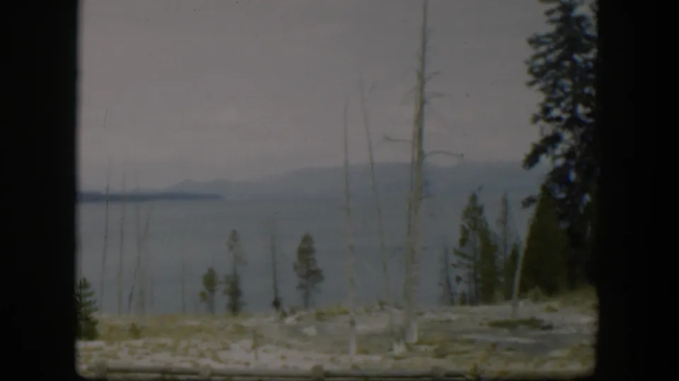 Final 1951 Wyoming frame with evergreen pines, skeletal trunks, calm lake water, and hazy mountains under muted 8mm color.