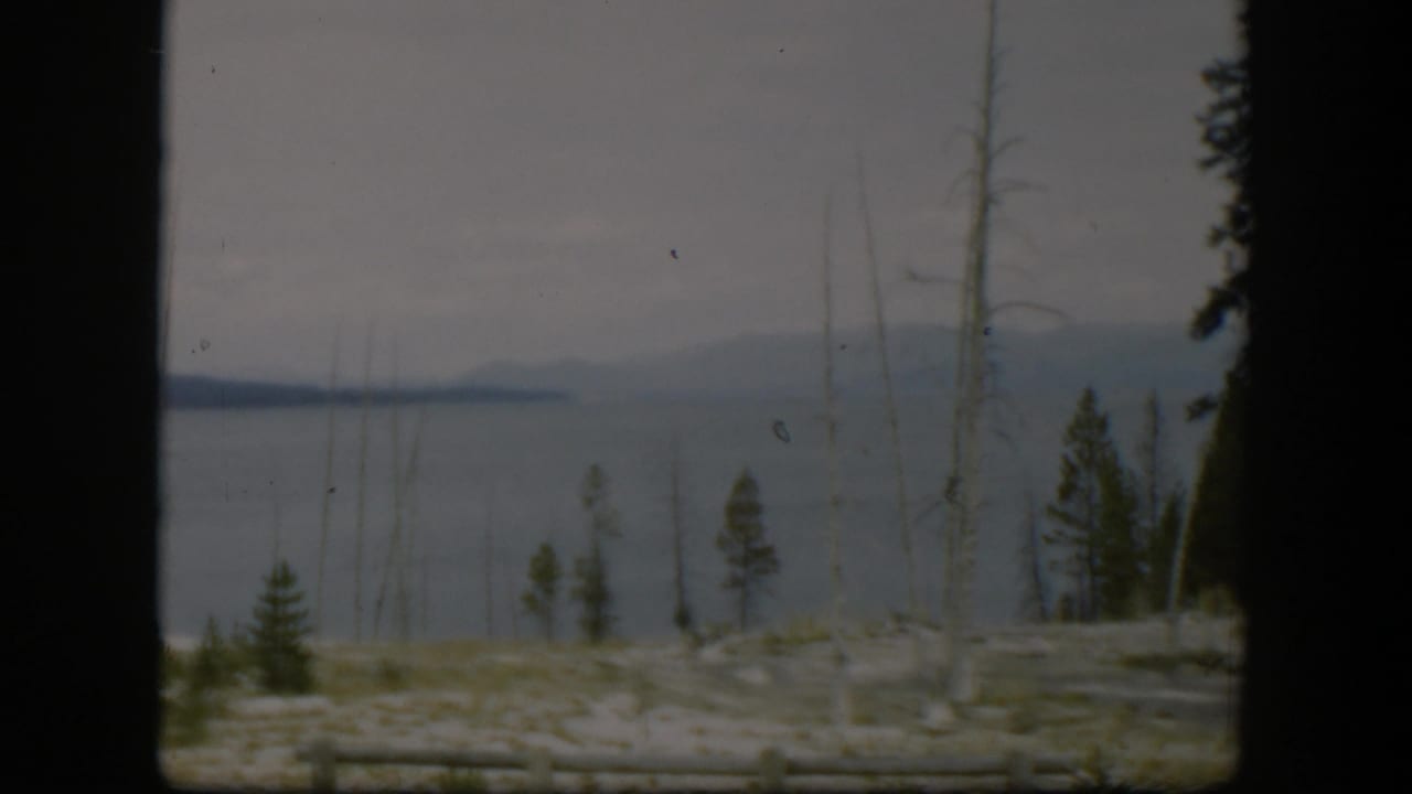 1951 Wyoming landscape frame with a broad calm water surface, scattered trunks, small evergreens, and distant hazy mountains.