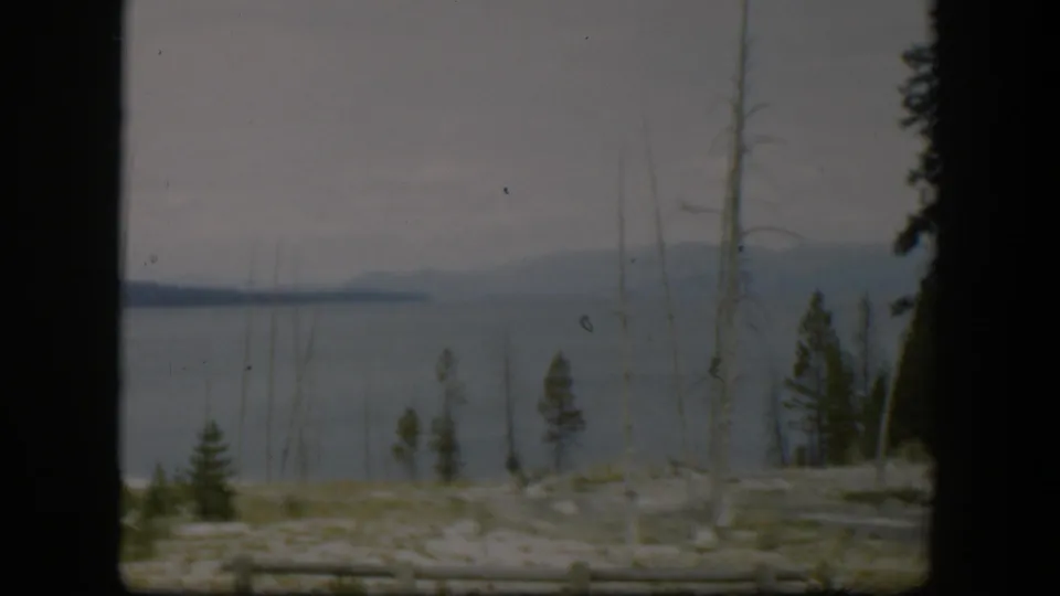 1951 Wyoming landscape frame with a broad calm water surface, scattered trunks, small evergreens, and distant hazy mountains.