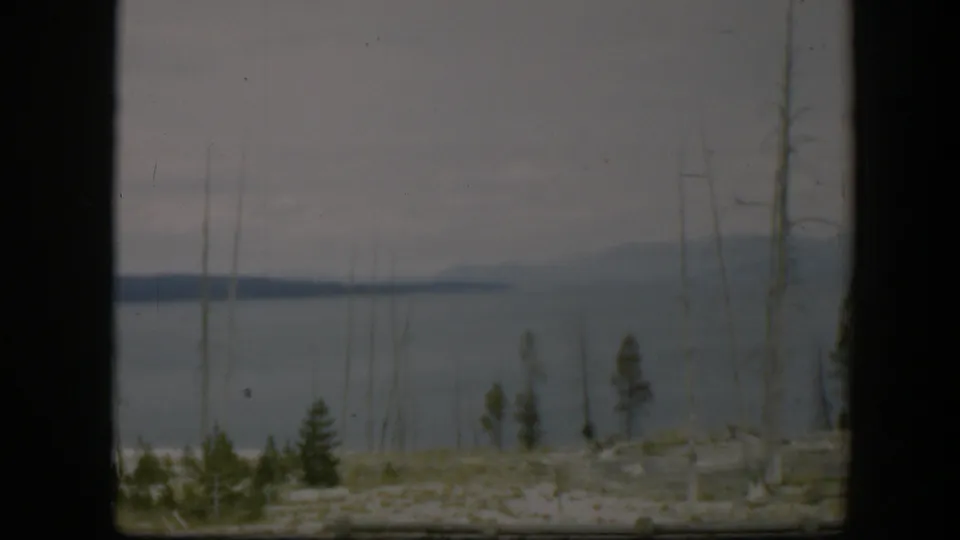 1951 Wyoming frame showing a soft, grainy view of water and distant hills through thin trunks and scattered evergreens.