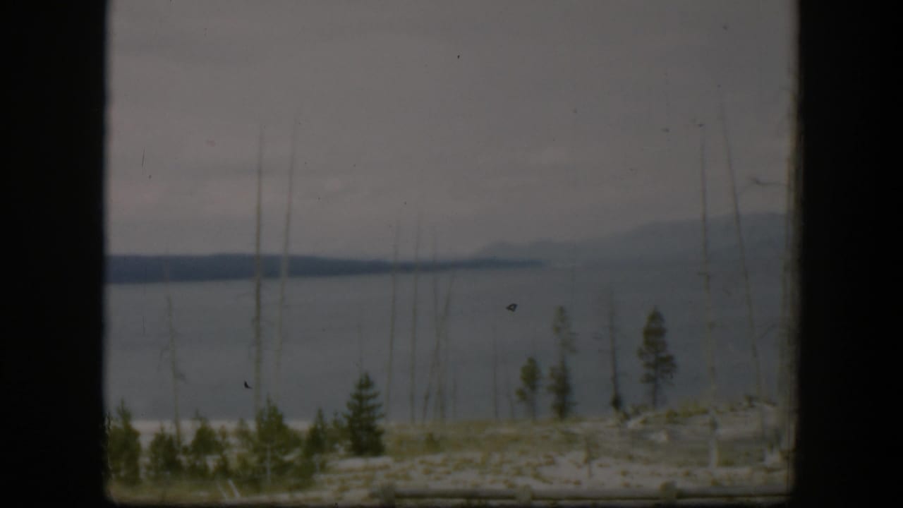 Calm water beyond sparse trees and a log fence under an overcast sky.