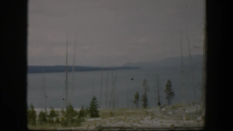 1951 Wyoming 8mm frame showing a calm body of water, distant shore, bare trunks, evergreens, and a roadside log fence.