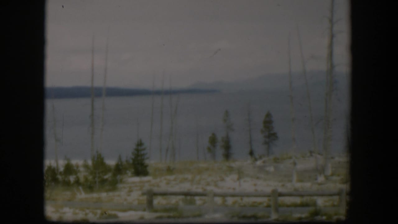 1951 Wyoming home-movie frame of a muted lake or broad water view framed by thin trunks, conifers, and a low log fence.