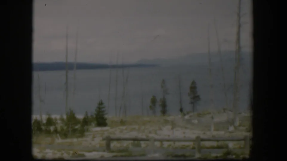 1951 Wyoming home-movie frame of a muted lake or broad water view framed by thin trunks, conifers, and a low log fence.