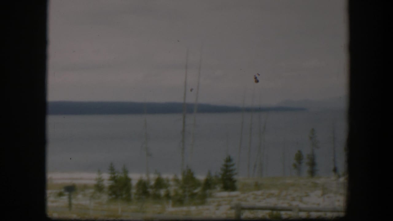 1951 Wyoming 8mm view of a muted lake landscape, with a pale shoreline, sparse evergreens, bare trunks, rail fencing, and distant hills.