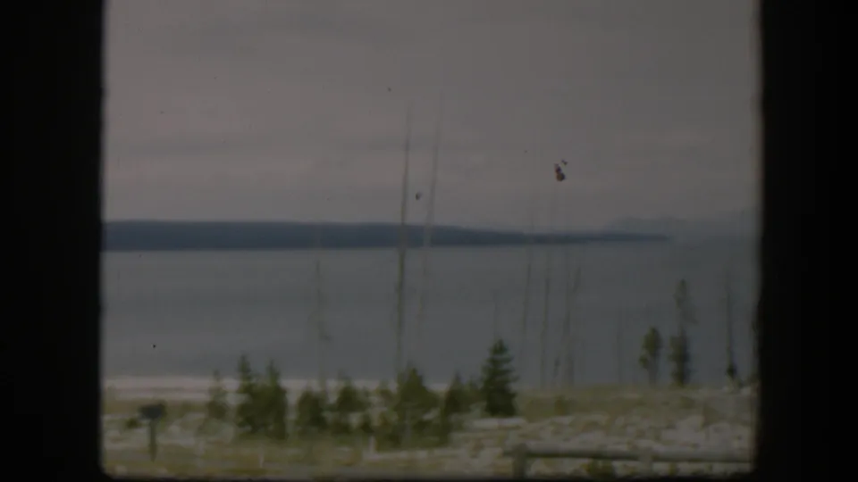 1951 Wyoming 8mm view of a muted lake landscape, with a pale shoreline, sparse evergreens, bare trunks, rail fencing, and distant hills.