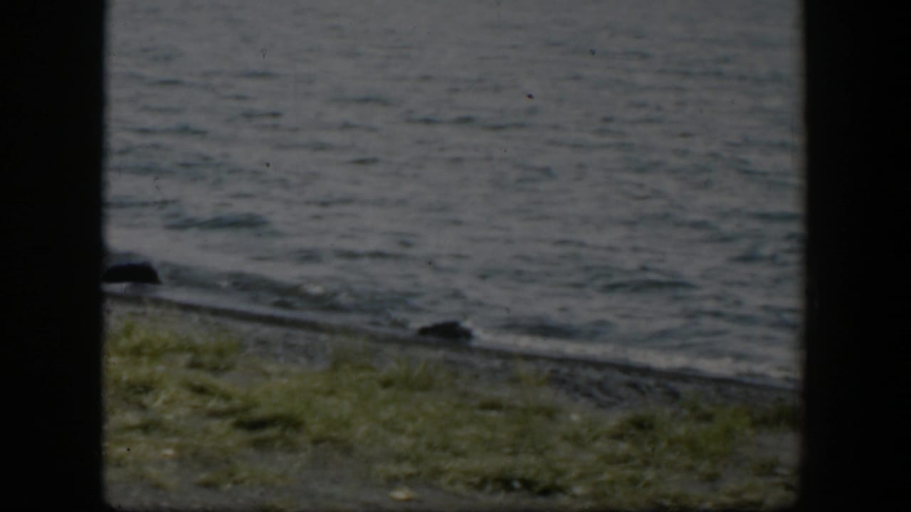 Closer 1951 Wyoming lake shoreline view, showing rippled water, small waves at the edge, dark rocks, grass, and a low distant horizon.