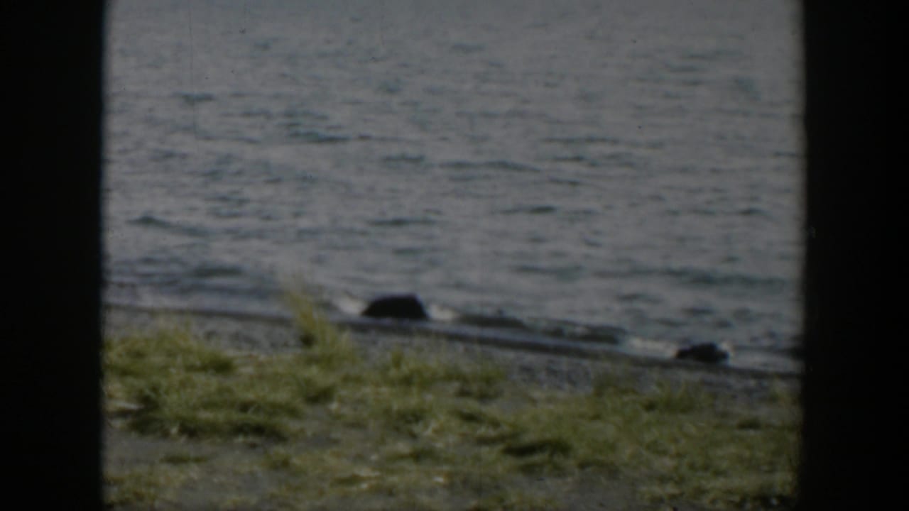 1951 Wyoming 8mm lakeshore frame with muted water, green grass, gravel bank, and dark objects close to the wave line.