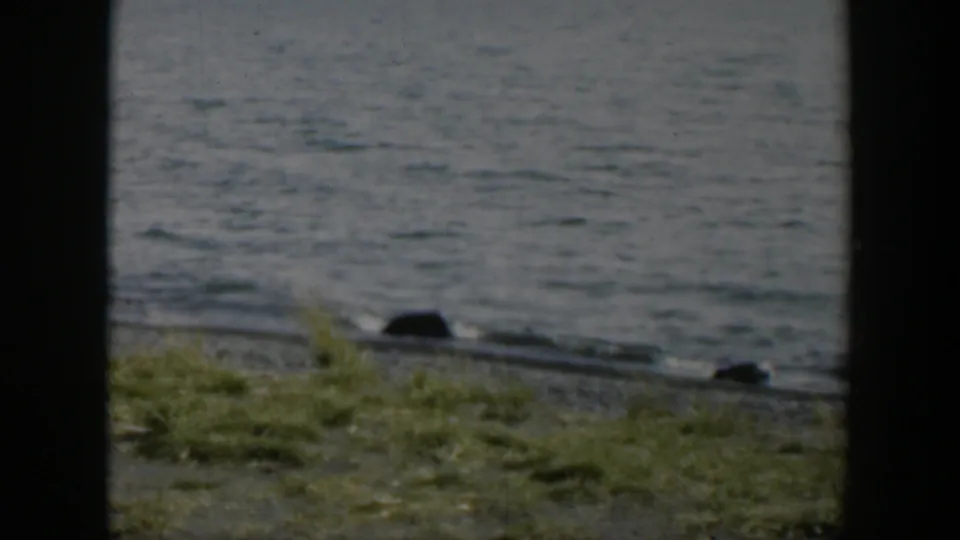 1951 Wyoming 8mm lakeshore frame with muted water, green grass, gravel bank, and dark objects close to the wave line.