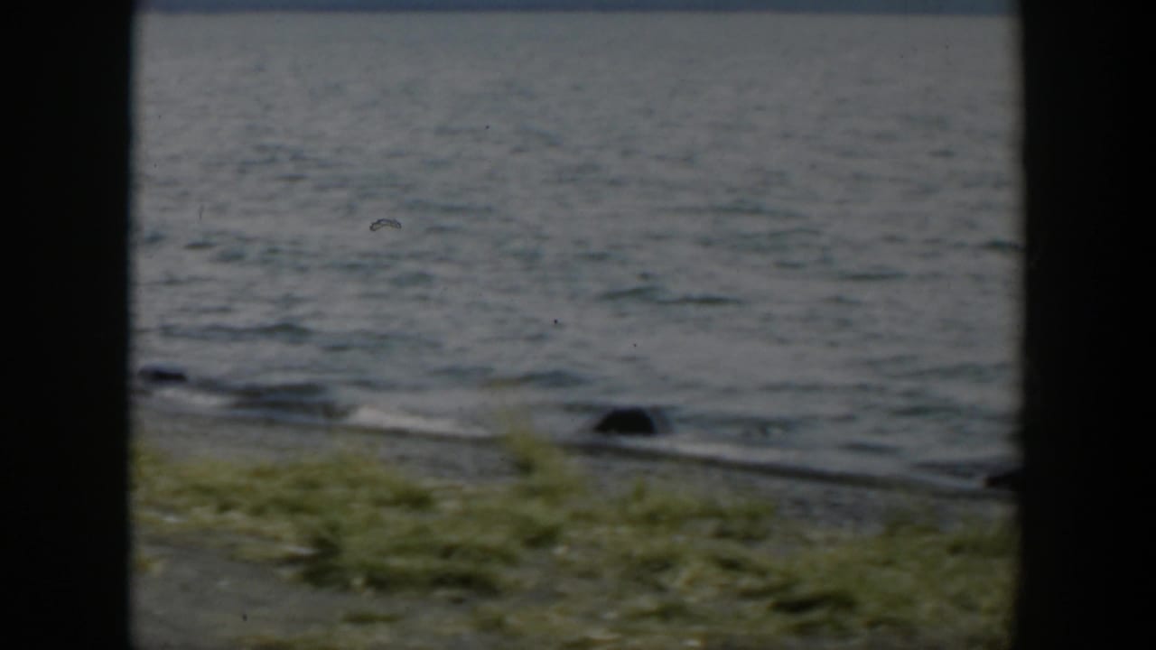 1951 Wyoming 8mm frame showing rippled lake water, grass at the shore, and a dark rock under an overcast sky.