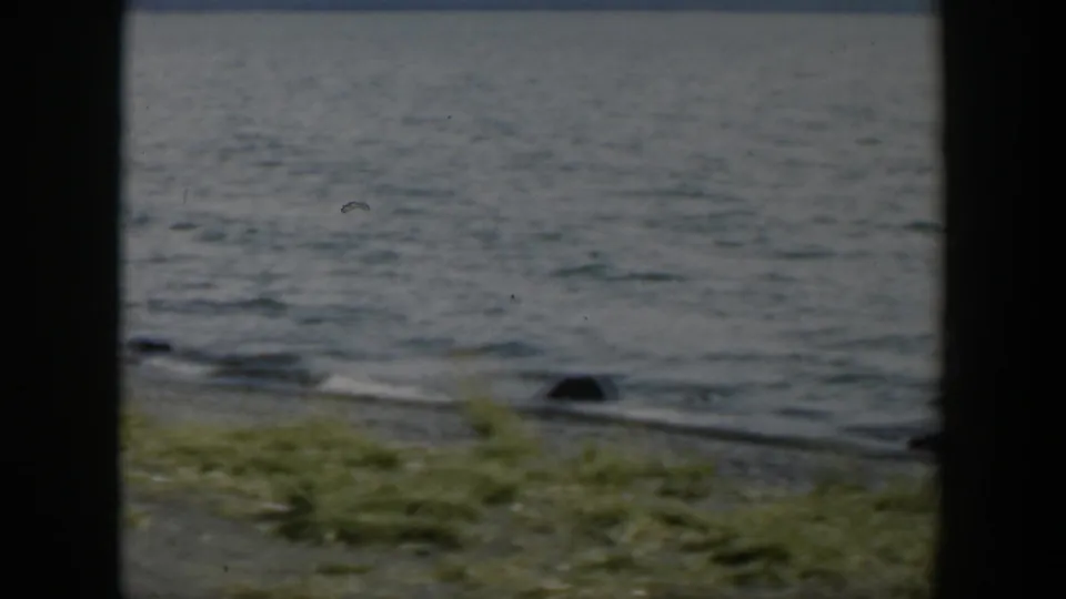 1951 Wyoming 8mm frame showing rippled lake water, grass at the shore, and a dark rock under an overcast sky.