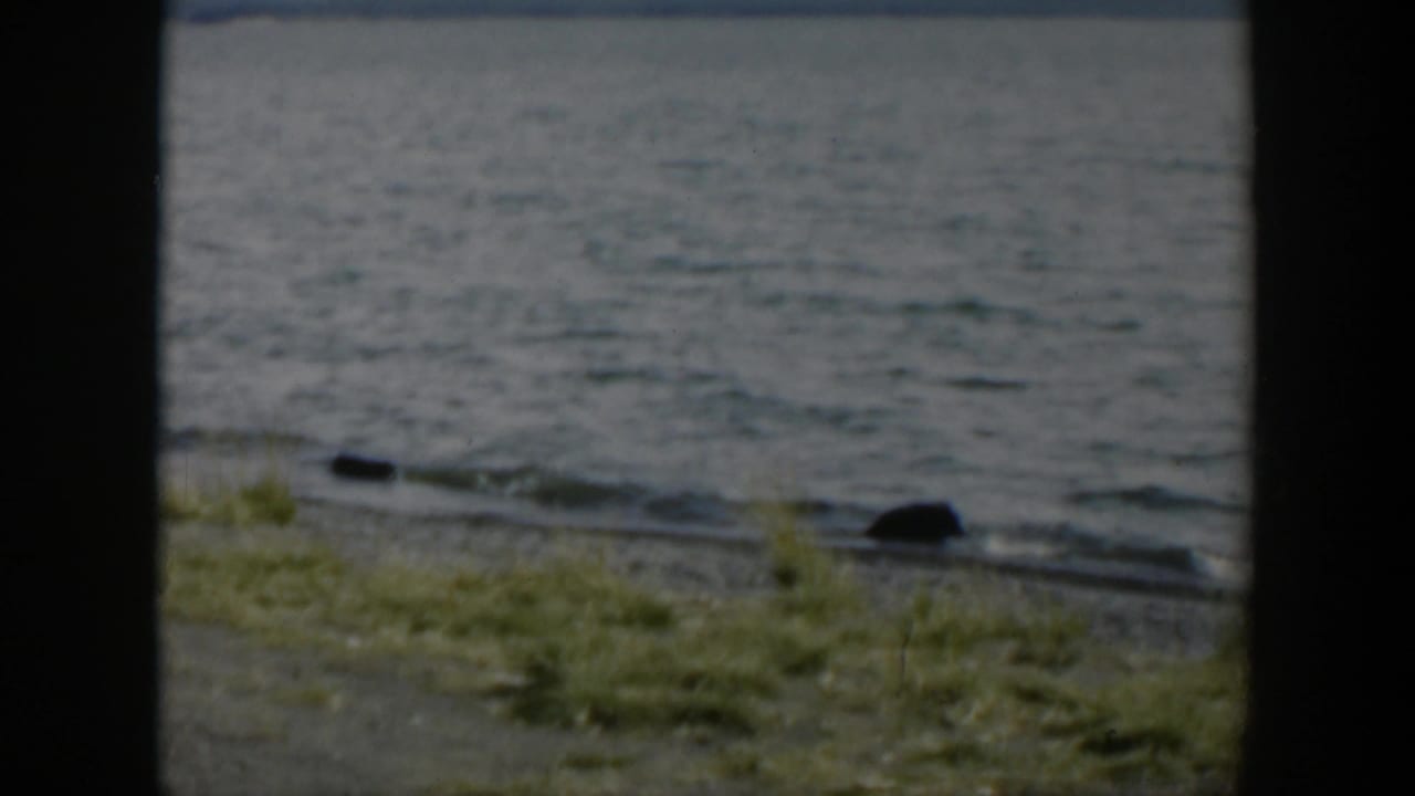 Lake surface and grassy shore with dark rocks near the water.