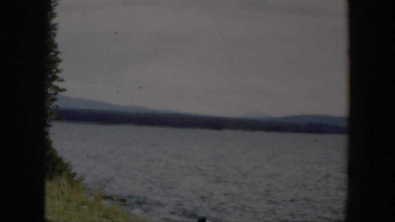 1951 Wyoming lake frame with rippled water, distant hills, a far tree line, and a dark tree shape along the near shore.