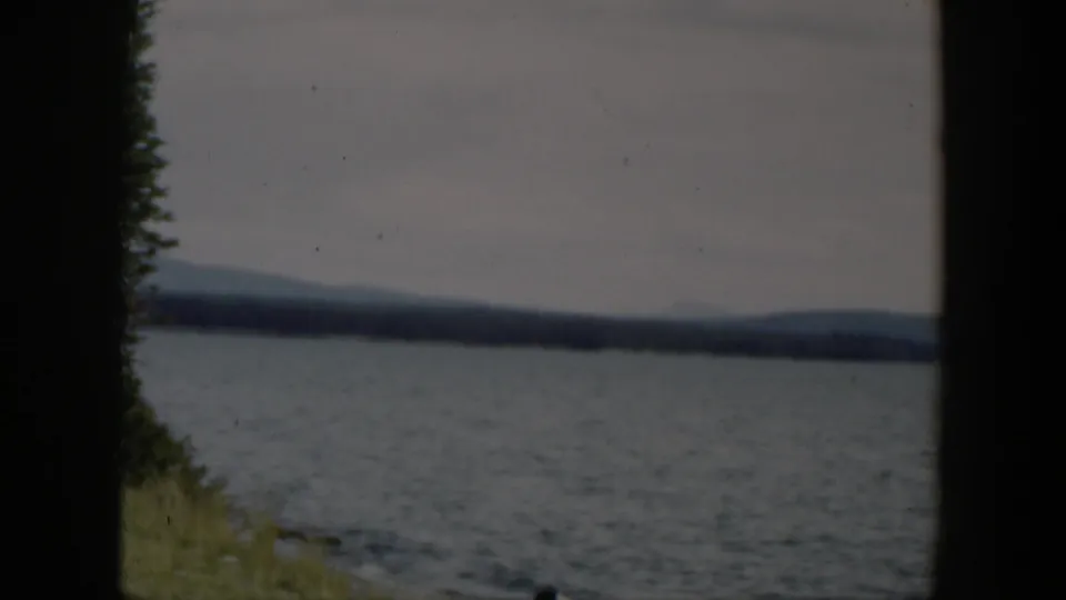 1951 Wyoming lake frame with rippled water, distant hills, a far tree line, and a dark tree shape along the near shore.