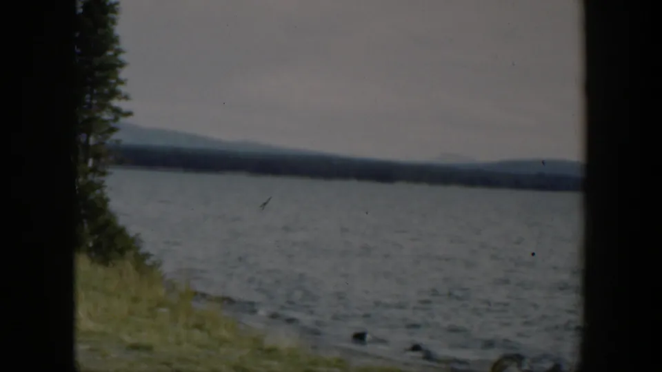 1951 Wyoming home-movie frame of a lake beside a grassy bank, with far hills and visible film grain.