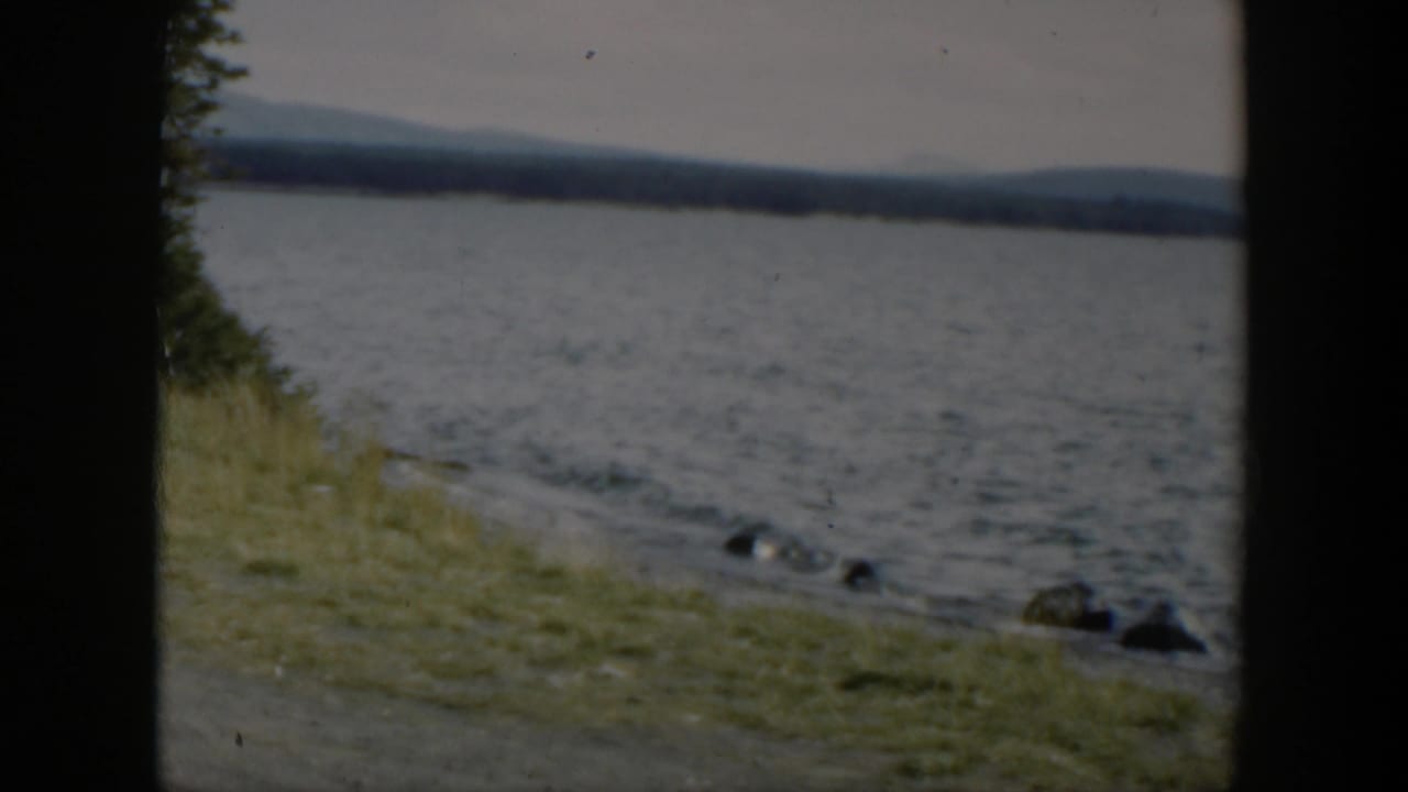 1951 Wyoming lakeside view with grass along the shore, small rocks near the water, trees at the edge, and mountains beyond the lake.