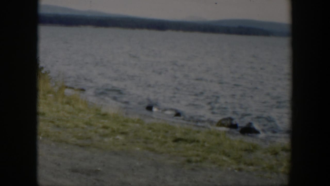 1951 Wyoming 8mm frame looking along a grassy lake edge with rocks in the foreground and a soft mountain ridge across the water.