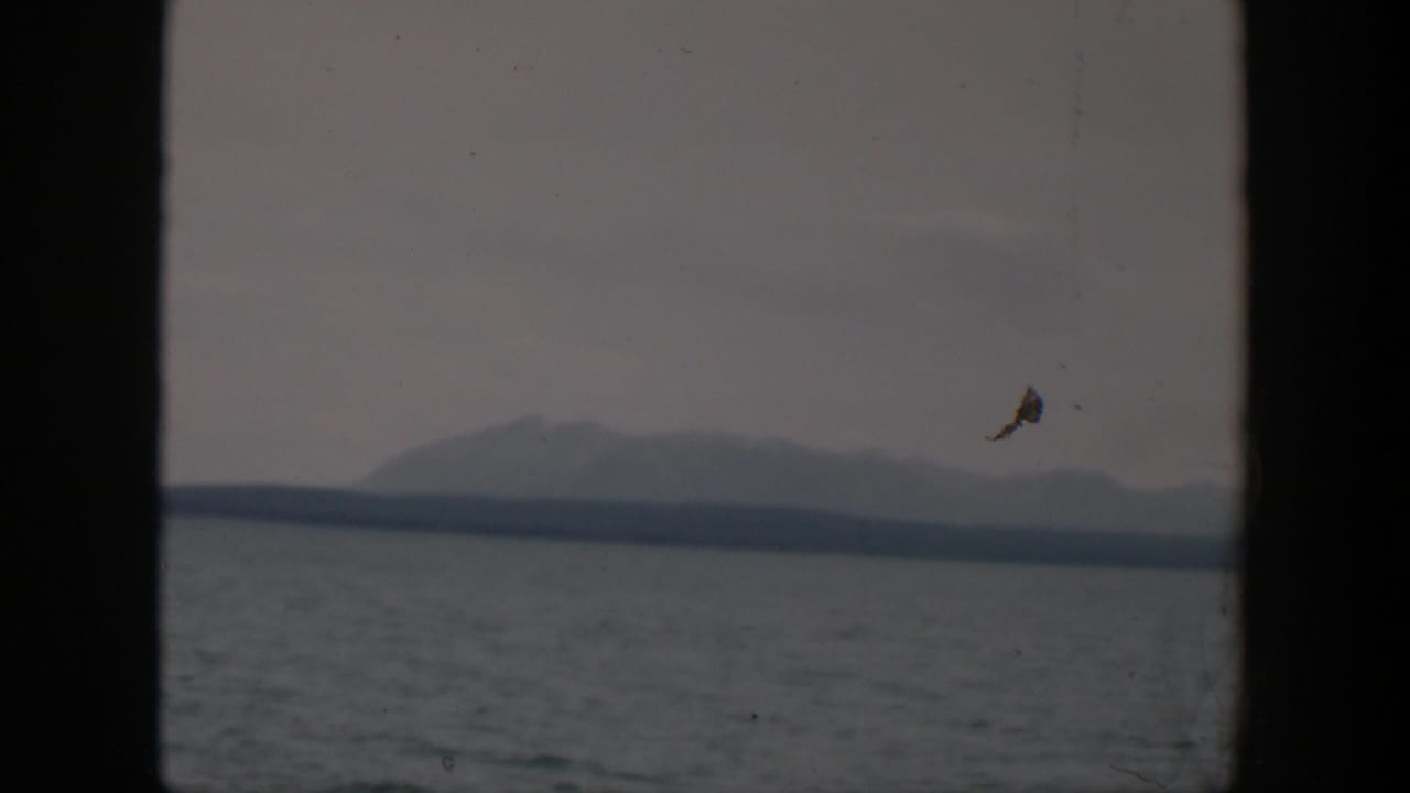1951 Wyoming frame showing open lake water and a hazy mountain range across the far shore, with film dust visible in the sky area.
