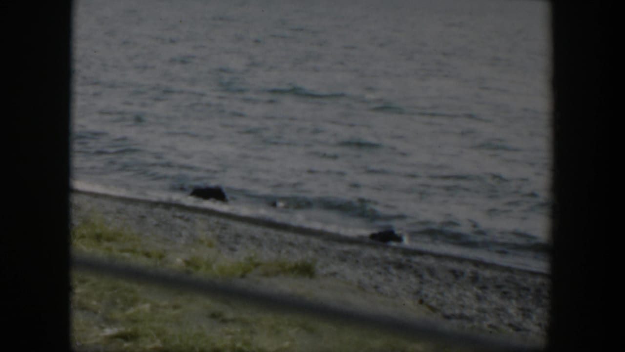 1951 Wyoming 8mm frame focused on rippling lake water washing toward small rocks and grass along a pebbled bank.