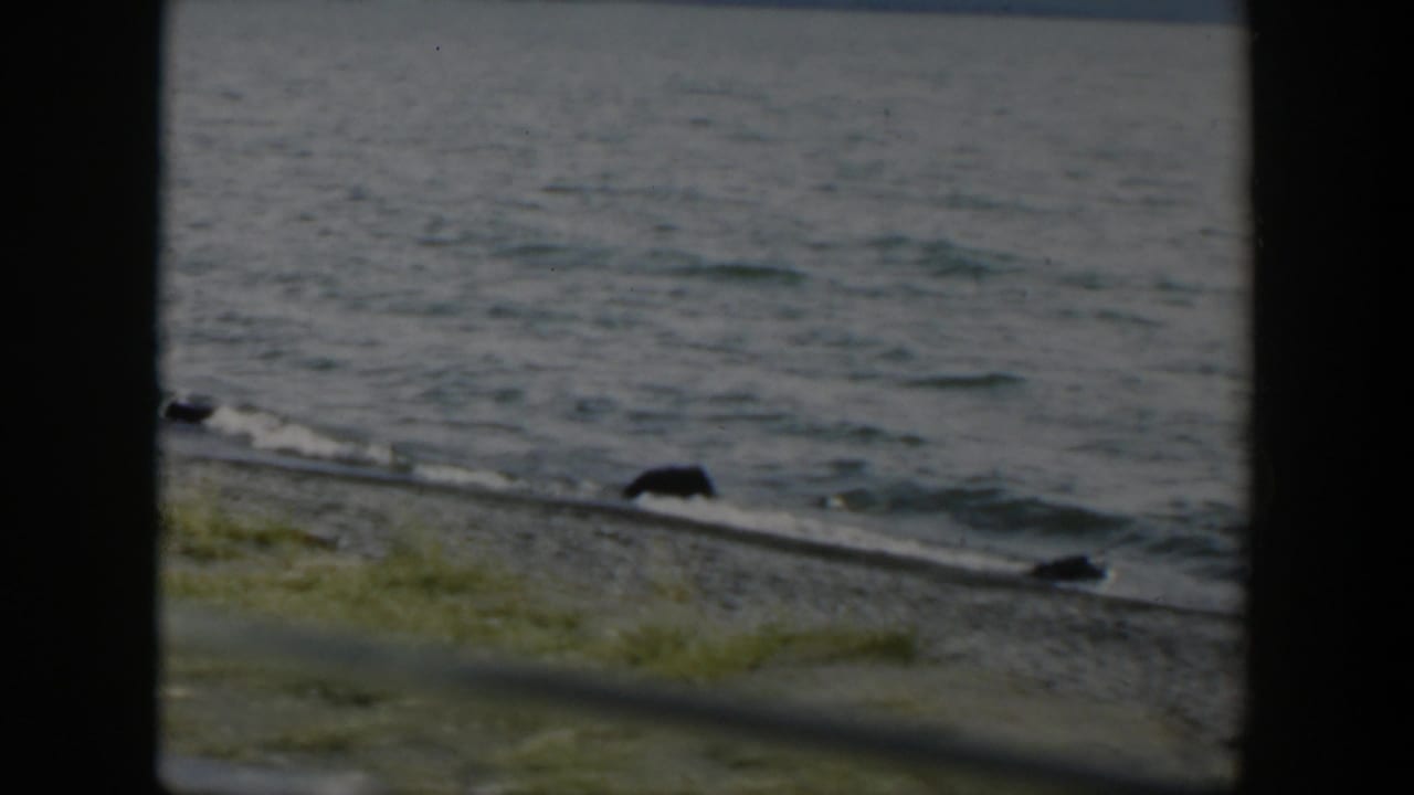 1951 Wyoming 8mm frame showing small lake waves, shoreline stones, dark rocks, and a strip of grass at the water's edge.