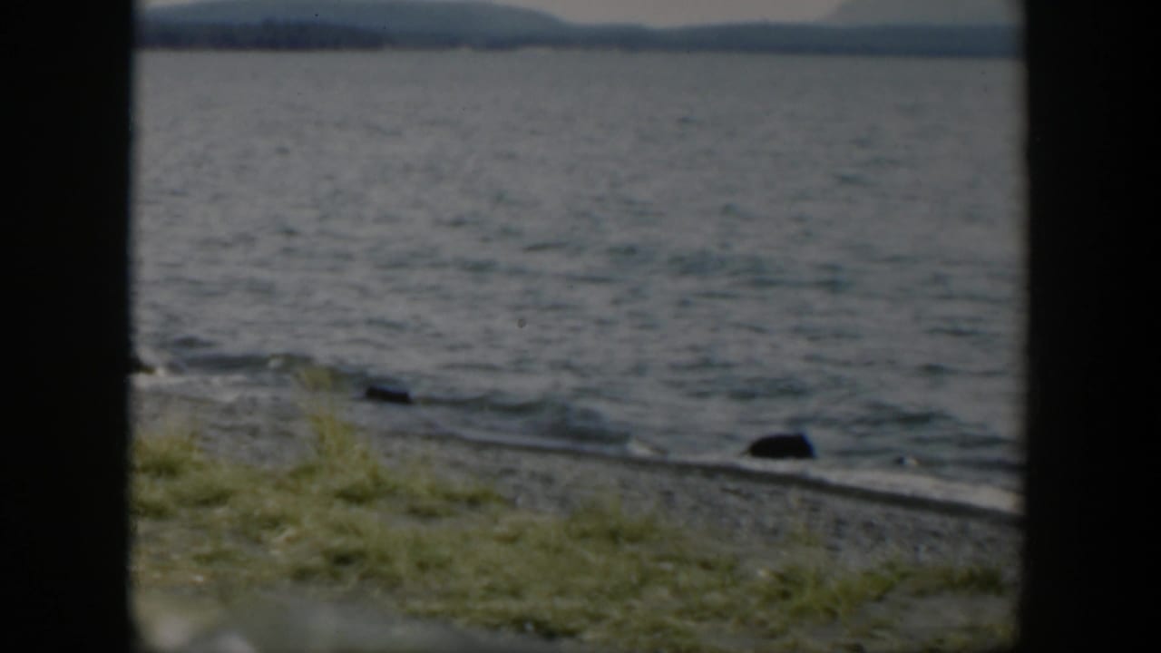 1951 Wyoming 8mm frame with open lake water, a grassy stony edge, small rocks, and a faint distant shoreline under soft light.