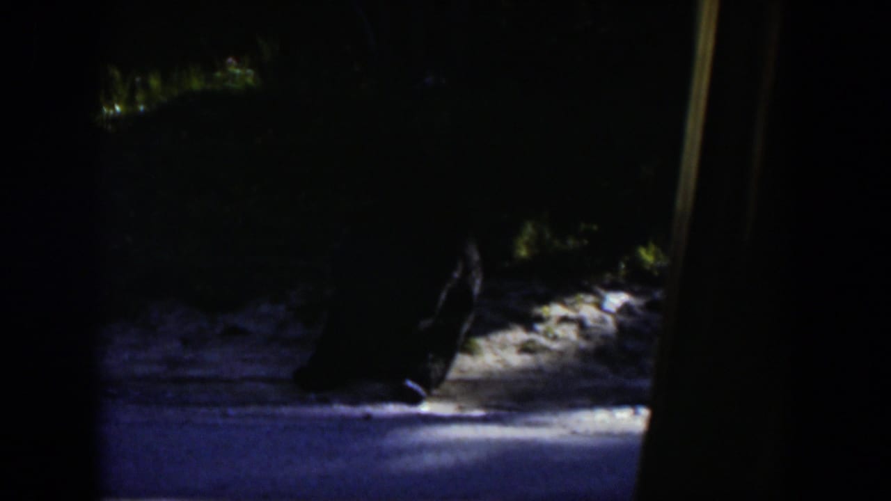 The final frame keeps the dark, indistinct animal-like form in deep shade against sunlit gray ground, consistent with 1951 Wyoming 8mm footage.