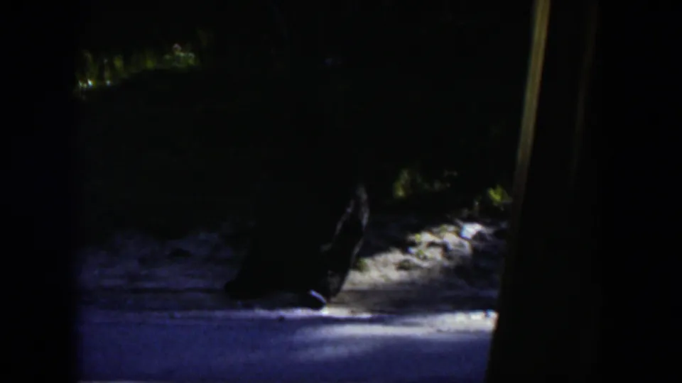 The final frame keeps the dark, indistinct animal-like form in deep shade against sunlit gray ground, consistent with 1951 Wyoming 8mm footage.