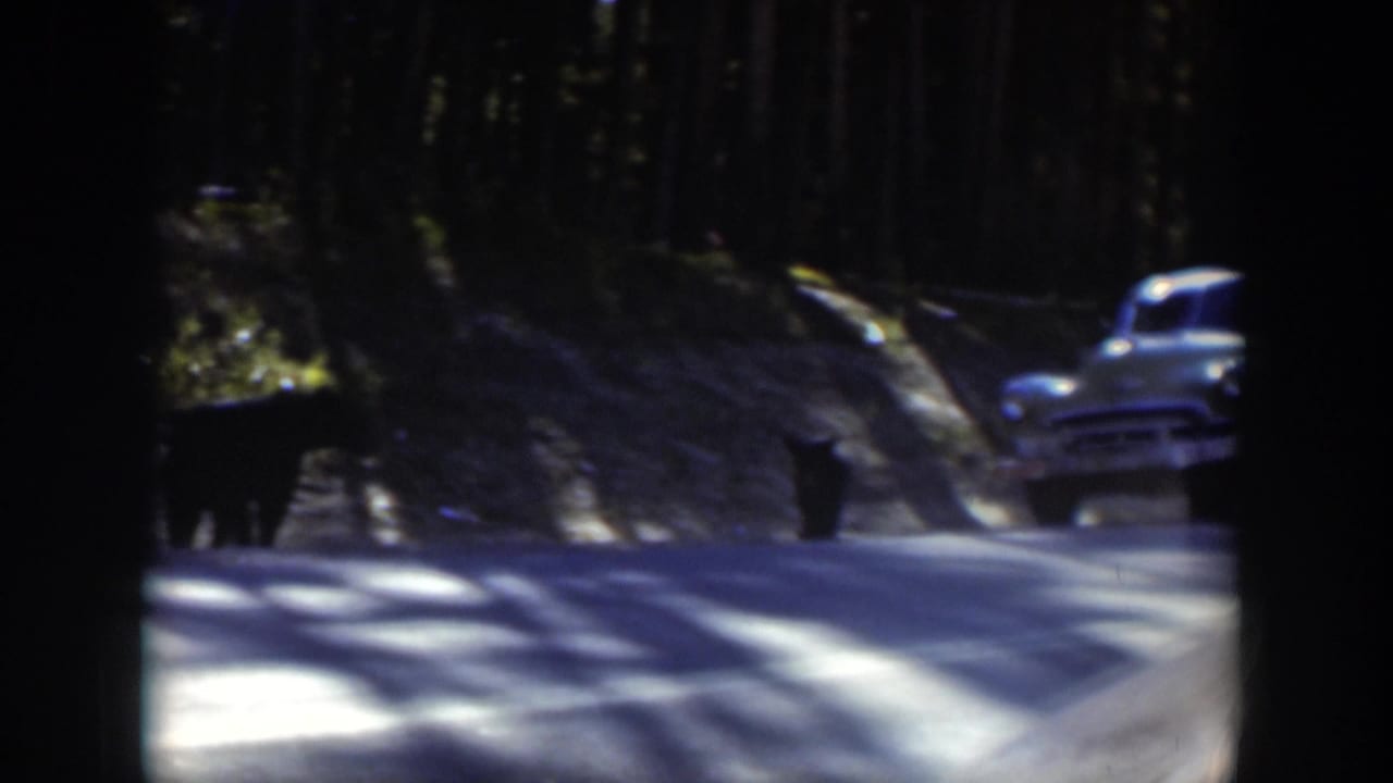 The final frame shows a light-colored 1950s automobile on a wooded Wyoming road with dark animal forms near the roadside.