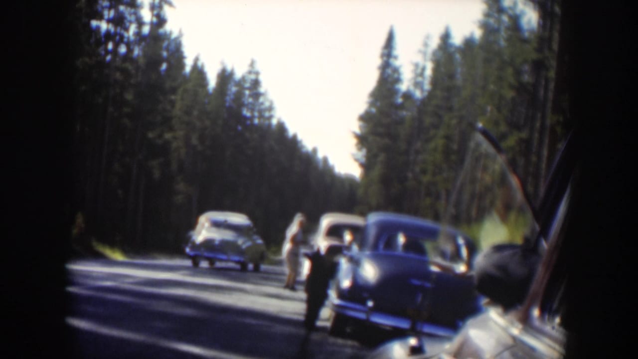 Classic cars and distant people pause on a Wyoming forest road during the bear encounter in 1951 footage.