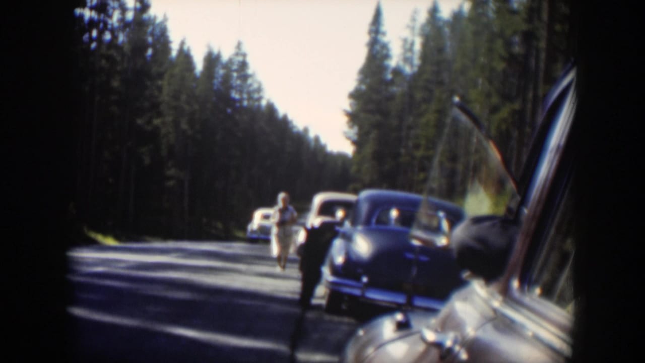 Wyoming road-trip footage shows a woman near classic cars and a bear along a sunlit forest road.