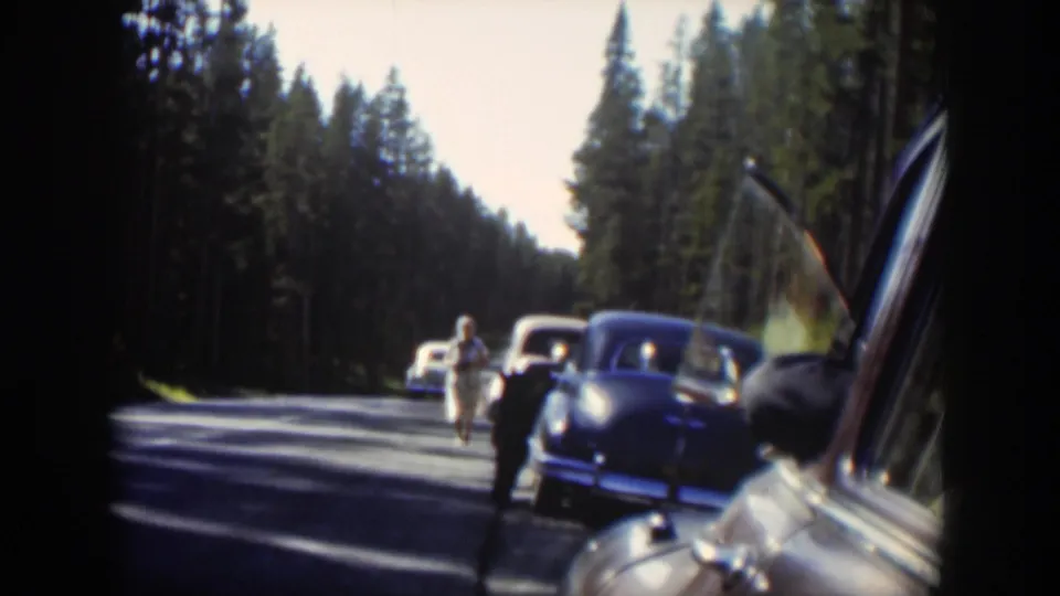 Wyoming road-trip footage shows a woman near classic cars and a bear along a sunlit forest road.
