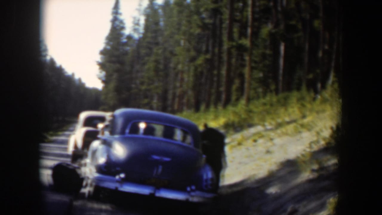 A bear stands close to a blue mid-century sedan on a Wyoming forest road in this 1951 8mm frame.