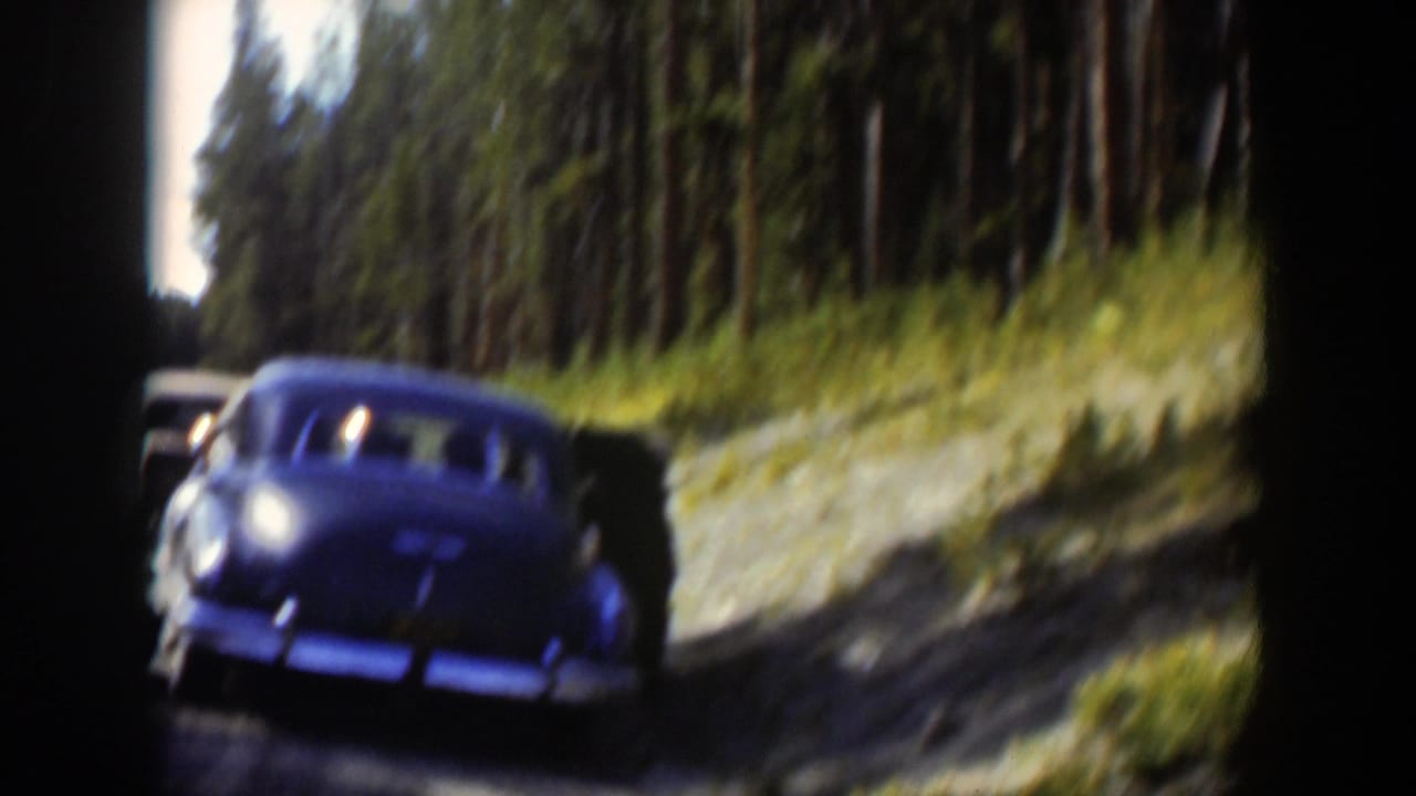 Blue vintage sedan seen from behind on a shaded forest road.