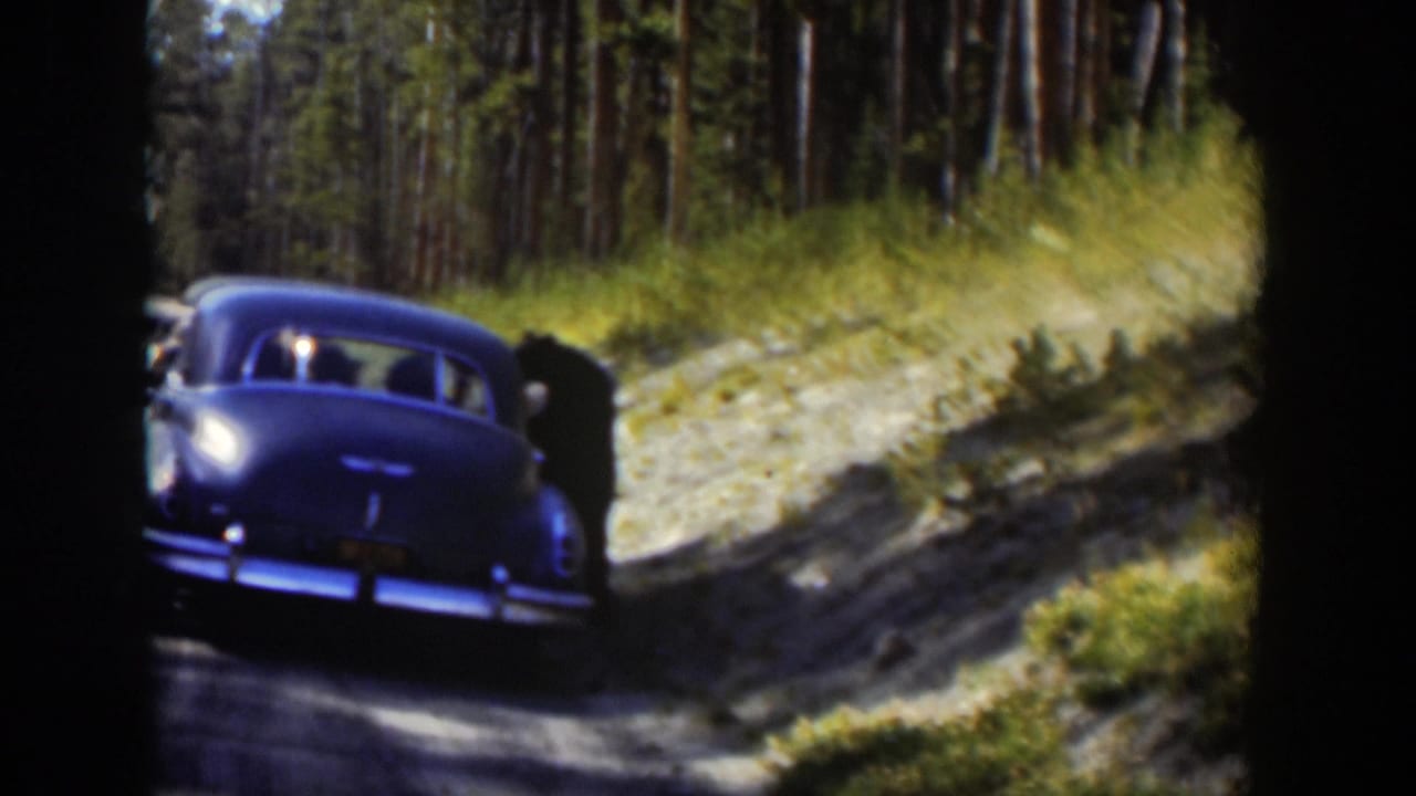 The blue sedan is seen from the rear beside a sloped shoulder on a Wyoming pine forest road in 1951 home-movie footage.
