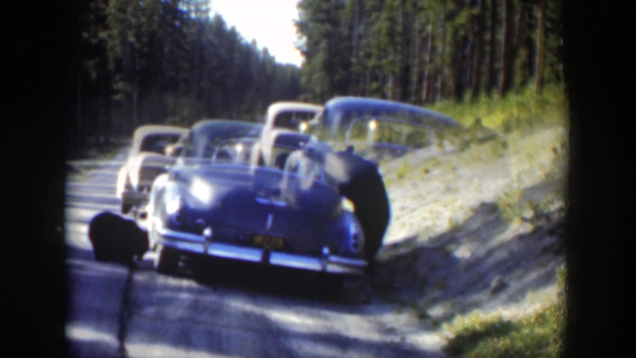 A soft, overlapping 8mm frame shows the blue sedan and another car on the Wyoming forest road, with motion and exposure artifacts visible.