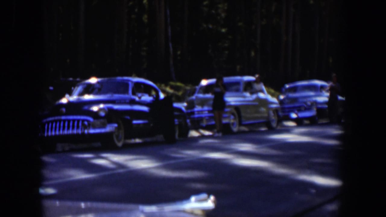 Several mid-century cars stopped on a shaded wooded road.