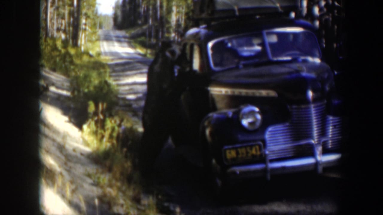 A dark 1950s sedan with roof luggage is parked along a wooded Wyoming road, with a person partly visible near the side.