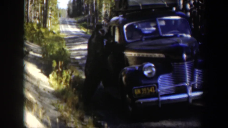 A dark 1950s sedan with roof luggage is parked along a wooded Wyoming road, with a person partly visible near the side.
